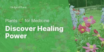 Discover Healing Power - Plants 🌱 for Medicine