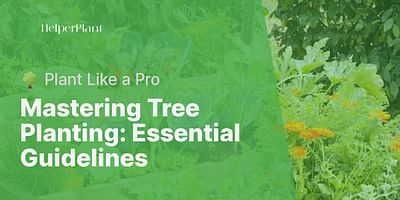 Mastering Tree Planting: Essential Guidelines - 🌳 Plant Like a Pro