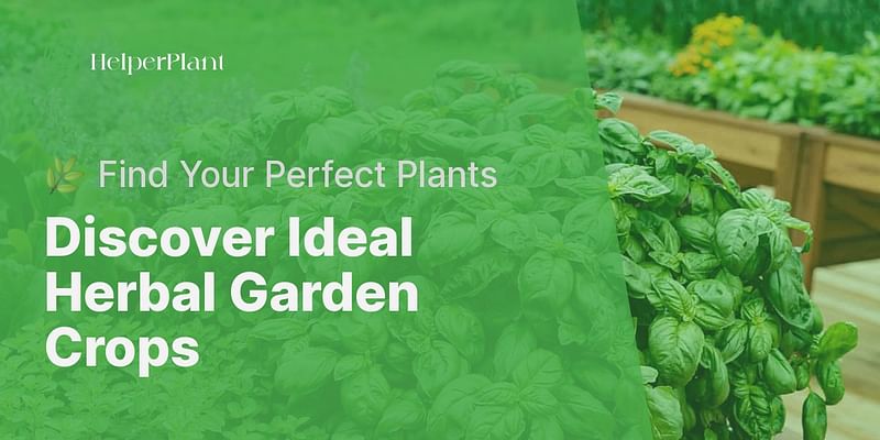 Discover Ideal Herbal Garden Crops - 🌿 Find Your Perfect Plants