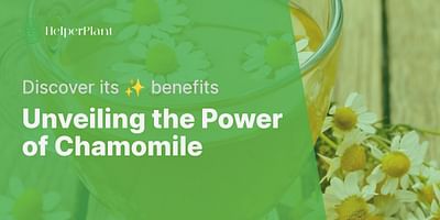 Unveiling the Power of Chamomile - Discover its ✨ benefits