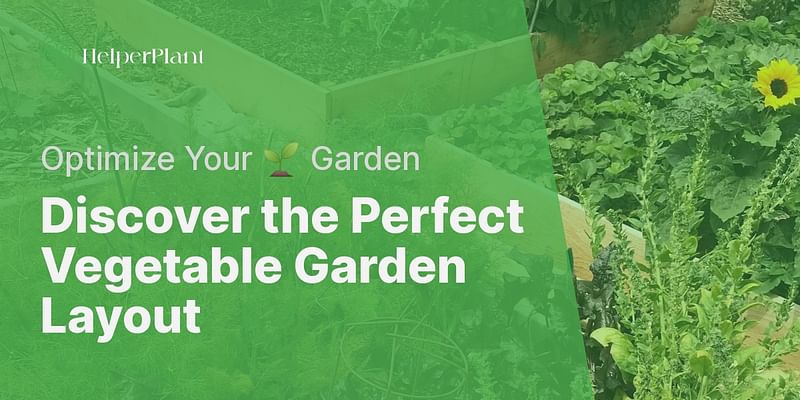 Discover the Perfect Vegetable Garden Layout - Optimize Your 🌱 Garden