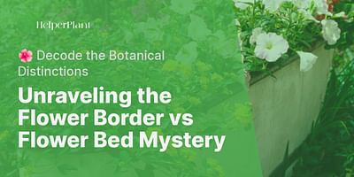 Unraveling the Flower Border vs Flower Bed Mystery - 🌺 Decode the Botanical Distinctions