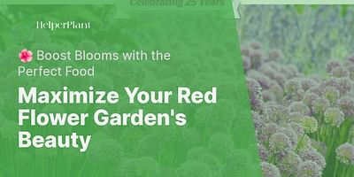 Maximize Your Red Flower Garden's Beauty - 🌺 Boost Blooms with the Perfect Food