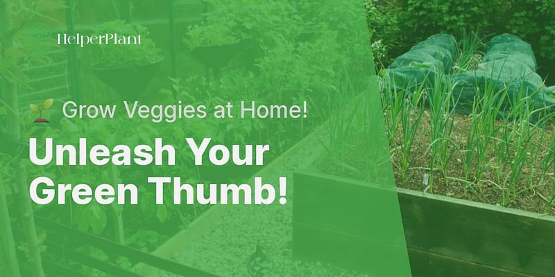 Unleash Your Green Thumb! - 🌱 Grow Veggies at Home!