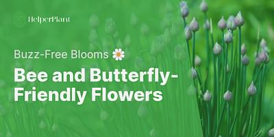 Bee and Butterfly-Friendly Flowers - Buzz-Free Blooms 🌼