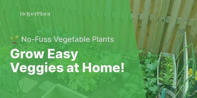 Grow Easy Veggies at Home! - 🌱 No-Fuss Vegetable Plants