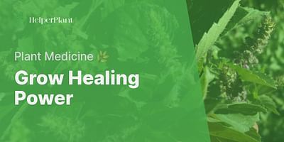 Grow Healing Power - Plant Medicine 🌿
