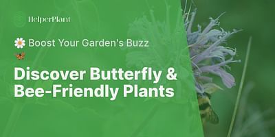Discover Butterfly & Bee-Friendly Plants - 🌼 Boost Your Garden's Buzz 🦋