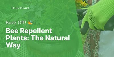 Bee Repellent Plants: The Natural Way - Buzz Off! 🐝