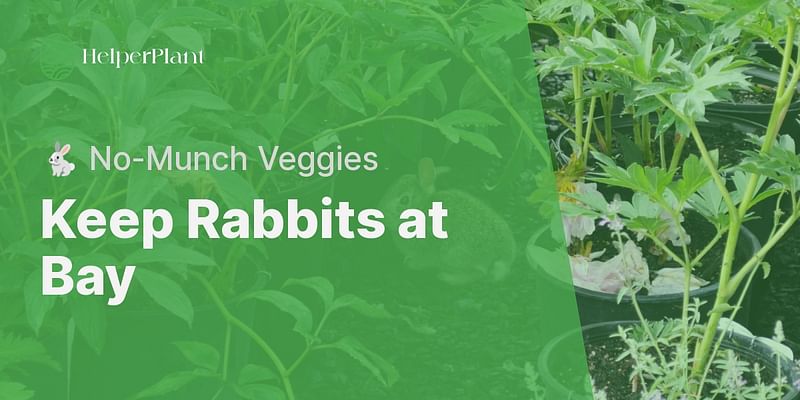 Keep Rabbits at Bay - 🐇 No-Munch Veggies