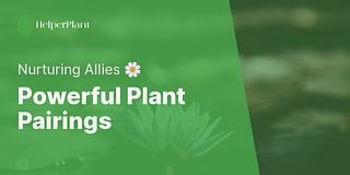 Powerful Plant Pairings - Nurturing Allies 🌼