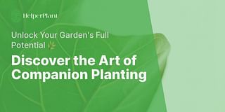 Discover the Art of Companion Planting - Unlock Your Garden's Full Potential 🌿