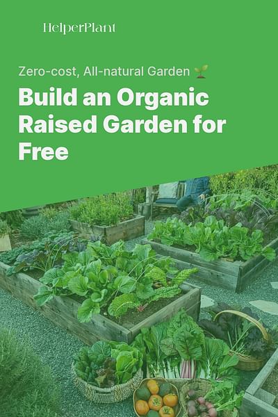 Build an Organic Raised Garden for Free - Zero-cost, All-natural Garden 🌱