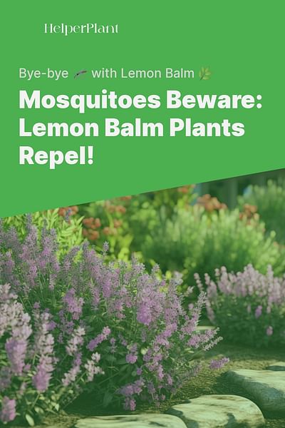 Mosquitoes Beware: Lemon Balm Plants Repel! - Bye-bye 🦟 with Lemon Balm 🌿