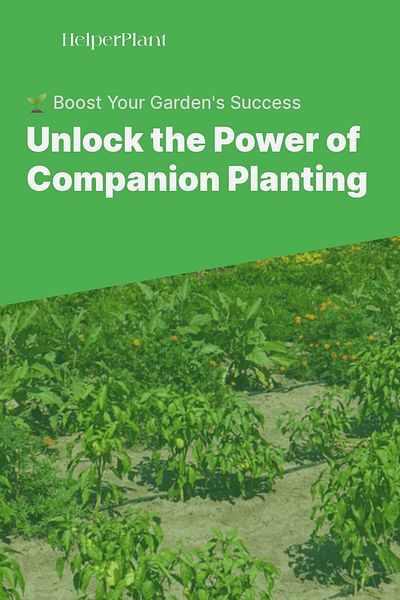 Unlock the Power of Companion Planting - 🌱 Boost Your Garden's Success