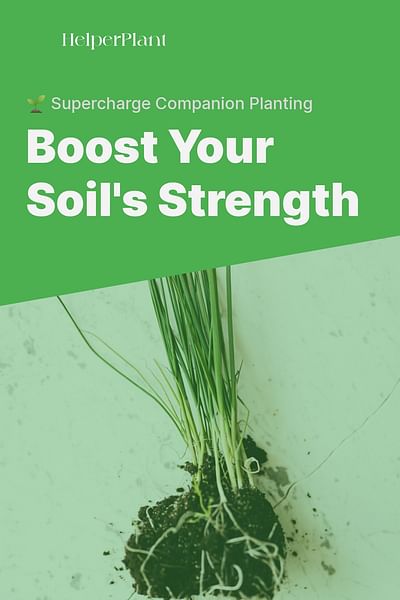 Boost Your Soil's Strength - 🌱 Supercharge Companion Planting