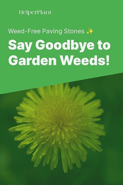 Say Goodbye to Garden Weeds! - Weed-Free Paving Stones ✨