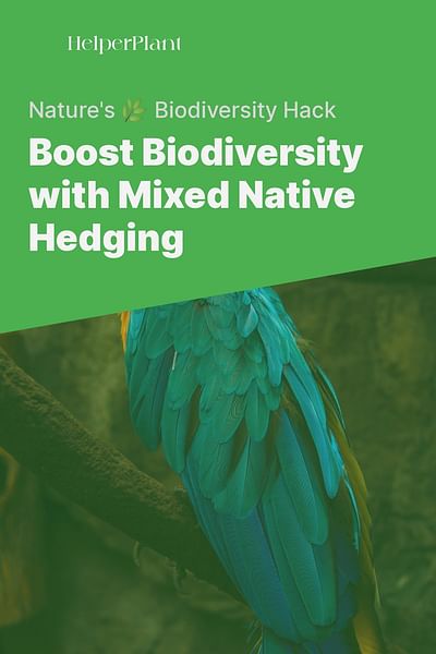 Boost Biodiversity with Mixed Native Hedging - Nature's 🌿 Biodiversity Hack