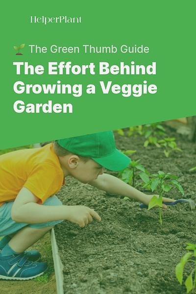 The Effort Behind Growing a Veggie Garden - 🌱 The Green Thumb Guide