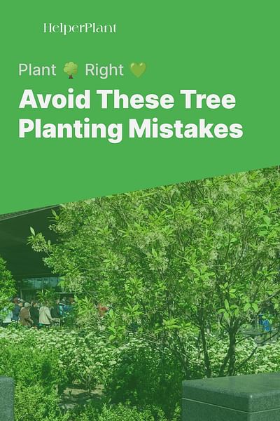 Avoid These Tree Planting Mistakes - Plant 🌳 Right 💚