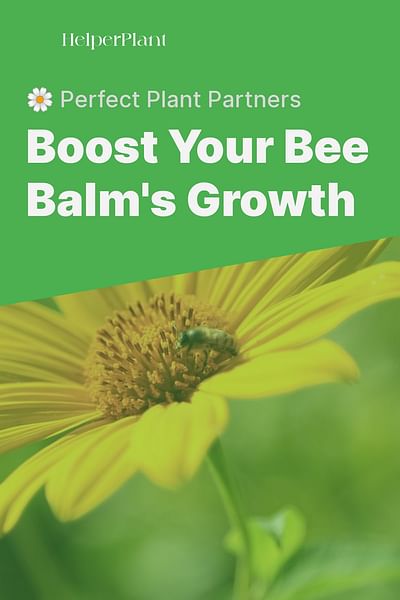 Boost Your Bee Balm's Growth - 🌼 Perfect Plant Partners