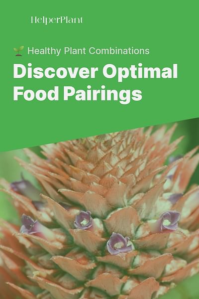 Discover Optimal Food Pairings - 🌱 Healthy Plant Combinations