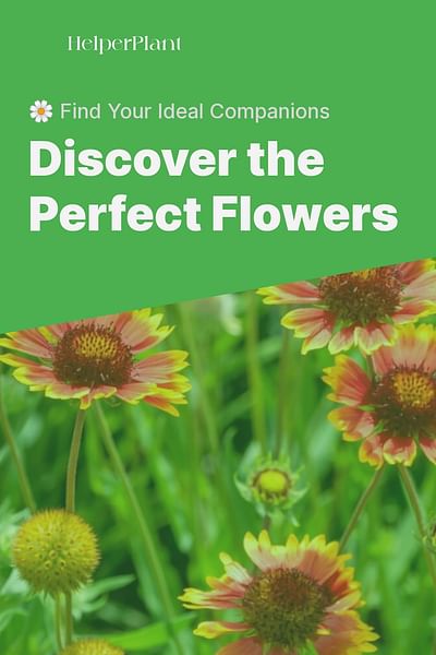 Discover the Perfect Flowers - 🌼 Find Your Ideal Companions