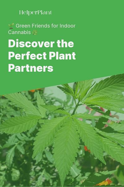 Discover the Perfect Plant Partners - 🌱 Green Friends for Indoor Cannabis 🌿