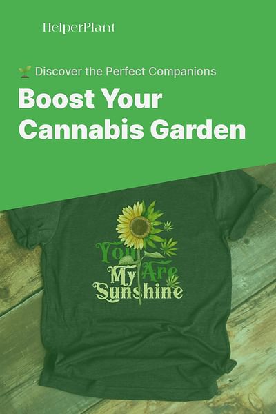 Boost Your Cannabis Garden - 🌱 Discover the Perfect Companions