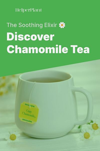 Discover Chamomile Tea - The Soothing Elixir 🌼