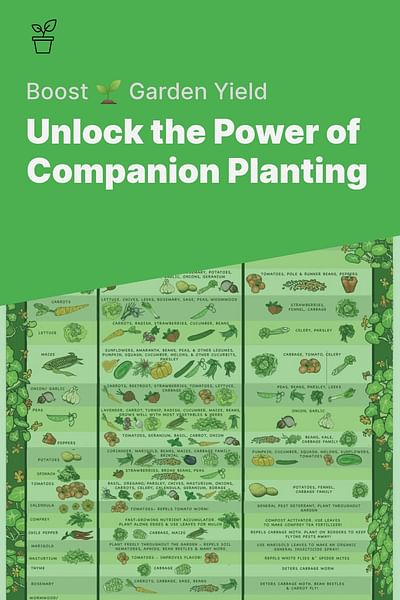 Unlock the Power of Companion Planting - Boost 🌱 Garden Yield