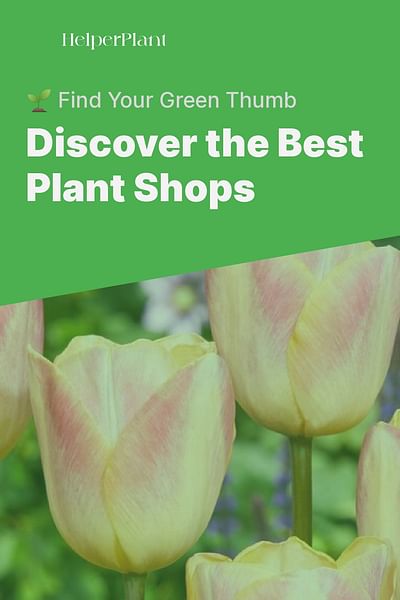 Discover the Best Plant Shops - 🌱 Find Your Green Thumb