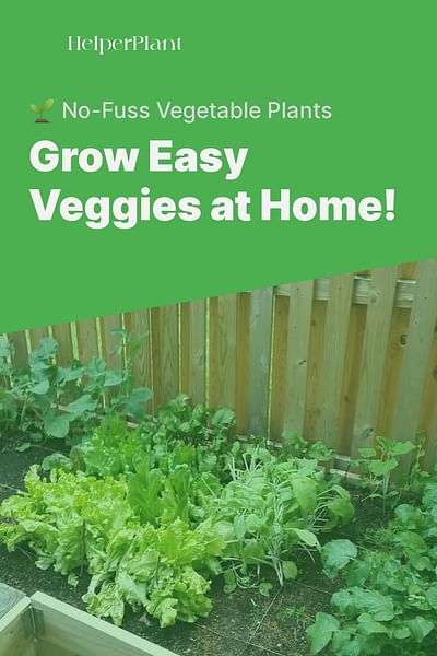 Grow Easy Veggies at Home! - 🌱 No-Fuss Vegetable Plants