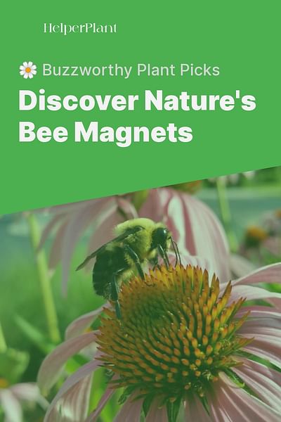 Discover Nature's Bee Magnets - 🌼 Buzzworthy Plant Picks