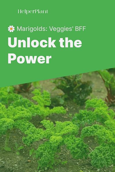 Unlock the Power - 🌼 Marigolds: Veggies' BFF