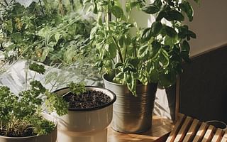 Can I grow an herb garden indoors year-round?