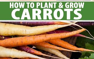 How can I grow vegetable plants organically?