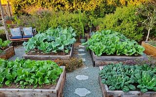 How should I prepare to plant a vegetable garden?