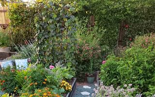 Should I rotate plants in my garden every year?