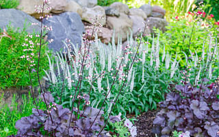 What are some beautiful combinations of flowering plants for a garden?