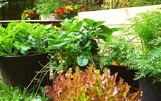 What are some common vegetables to grow in a companion garden?