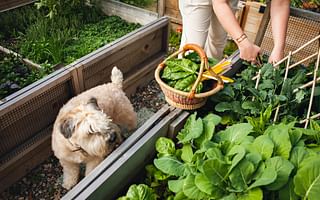 What are some tips for starting a vegetable garden?