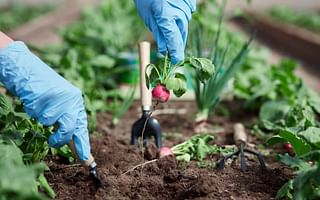 What are the most important factors to consider when planning a vegetable garden?