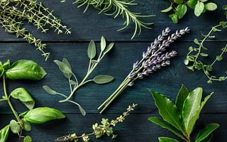 Which plant is known as the mother of medicinal plants?